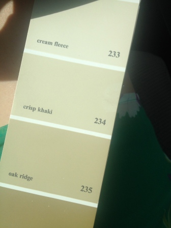 Ahhh, crisp khaki. The color my parents used to make their previous home more neutral. It's just the right shade of tan.