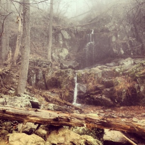 The fog was a bit eerie, but the hike was wonderful!